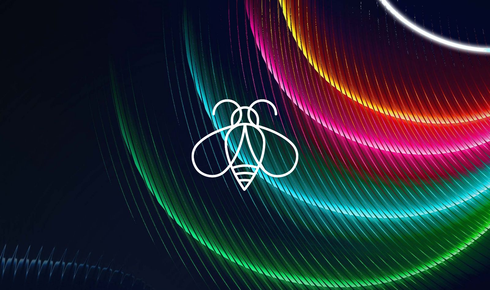 Craft Expands Its Wings to Form Craft Collective