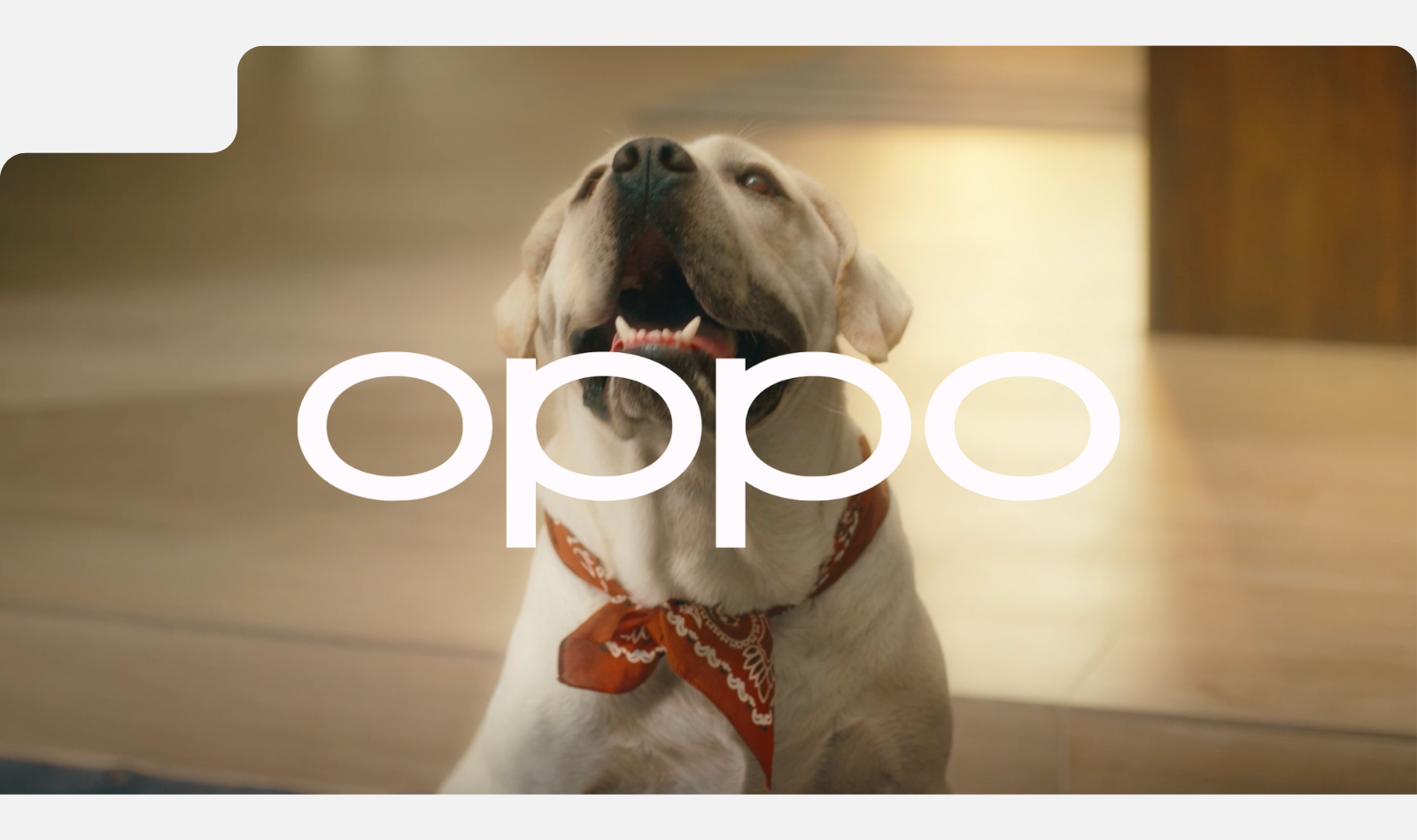 Brndwrx to Develop Two Digital Film Storylines for OPPO Reno 11 Launch with Leading Influencer